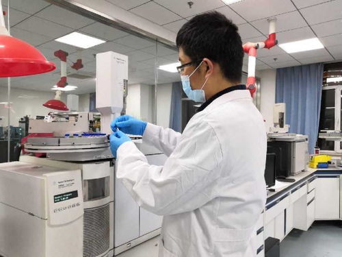 中國農科院發布三大領域重大成果 聚焦產品創制、技術突破與智庫報告，引領農業科技創新